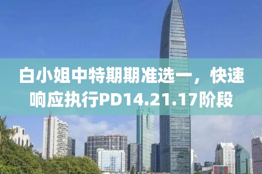 白小姐中特期期准选一，快速响应执行PD14.21.17阶段