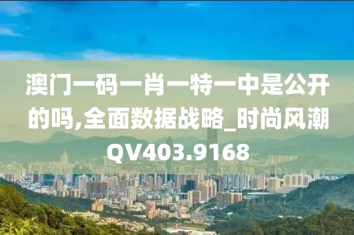 澳门一码一肖一特一中是公开的吗,全面数据战略_时尚风潮QV403.9168