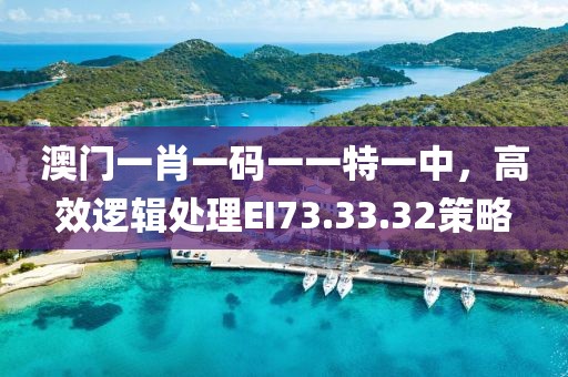 澳门一肖一码一一特一中，高效逻辑处理EI73.33.32策略