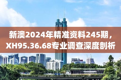 新澳2024年精准资料245期，XH95.36.68专业调查深度剖析