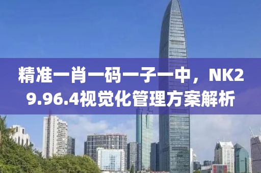 精准一肖一码一子一中，NK29.96.4视觉化管理方案解析