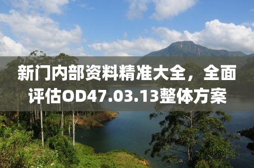 新门内部资料精准大全，全面评估OD47.03.13整体方案