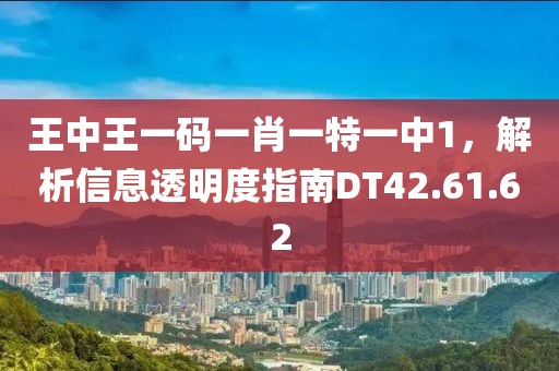 王中王一码一肖一特一中1，解析信息透明度指南DT42.61.62