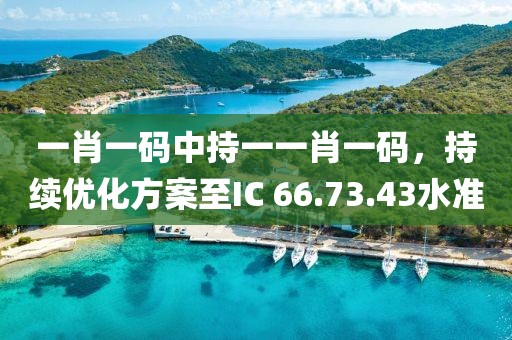 一肖一码中持一一肖一码，持续优化方案至IC 66.73.43水准