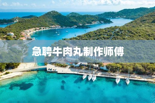 急聘牛肉丸制作师傅