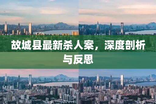 故城县最新杀人案，深度剖析与反思