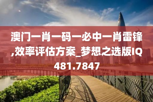 澳门一肖一码一必中一肖雷锋,效率评估方案_梦想之选版IQ481.7847