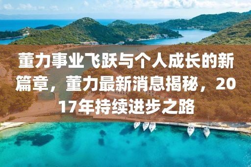 董力事业飞跃与个人成长的新篇章，董力最新消息揭秘，2017年持续进步之路