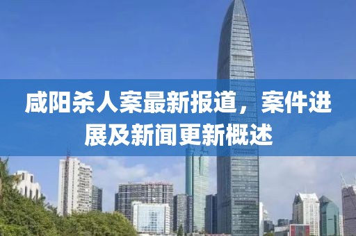 咸阳杀人案最新报道，案件进展及新闻更新概述