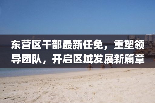 东营区干部最新任免，重塑领导团队，开启区域发展新篇章