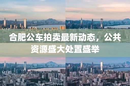 合肥公车拍卖最新动态，公共资源盛大处置盛举