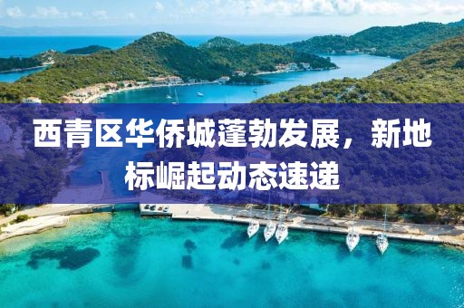 西青区华侨城蓬勃发展，新地标崛起动态速递