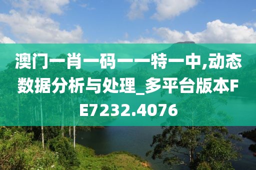 澳门一肖一码一一特一中,动态数据分析与处理_多平台版本FE7232.4076