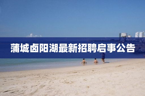 蒲城卤阳湖最新招聘启事公告