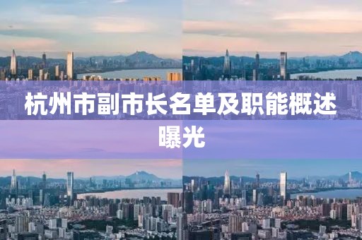 杭州市副市长名单及职能概述曝光