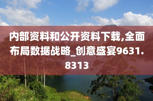 内部资料和公开资料下载,全面布局数据战略_创意盛宴9631.8313