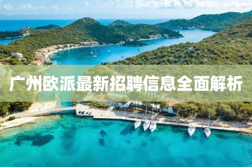 广州欧派最新招聘信息全面解析