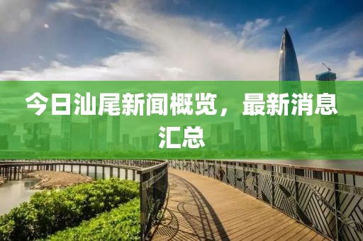 今日汕尾新闻概览，最新消息汇总
