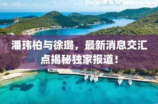 潘玮柏与徐璐，最新消息交汇点揭秘独家报道！