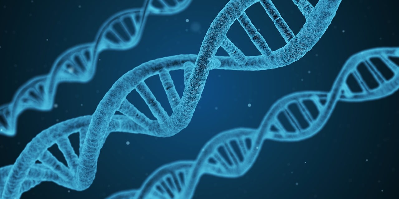 2024年正版管家婆最新版本,科学剖析精确阐释_高效模式CW65.63.54