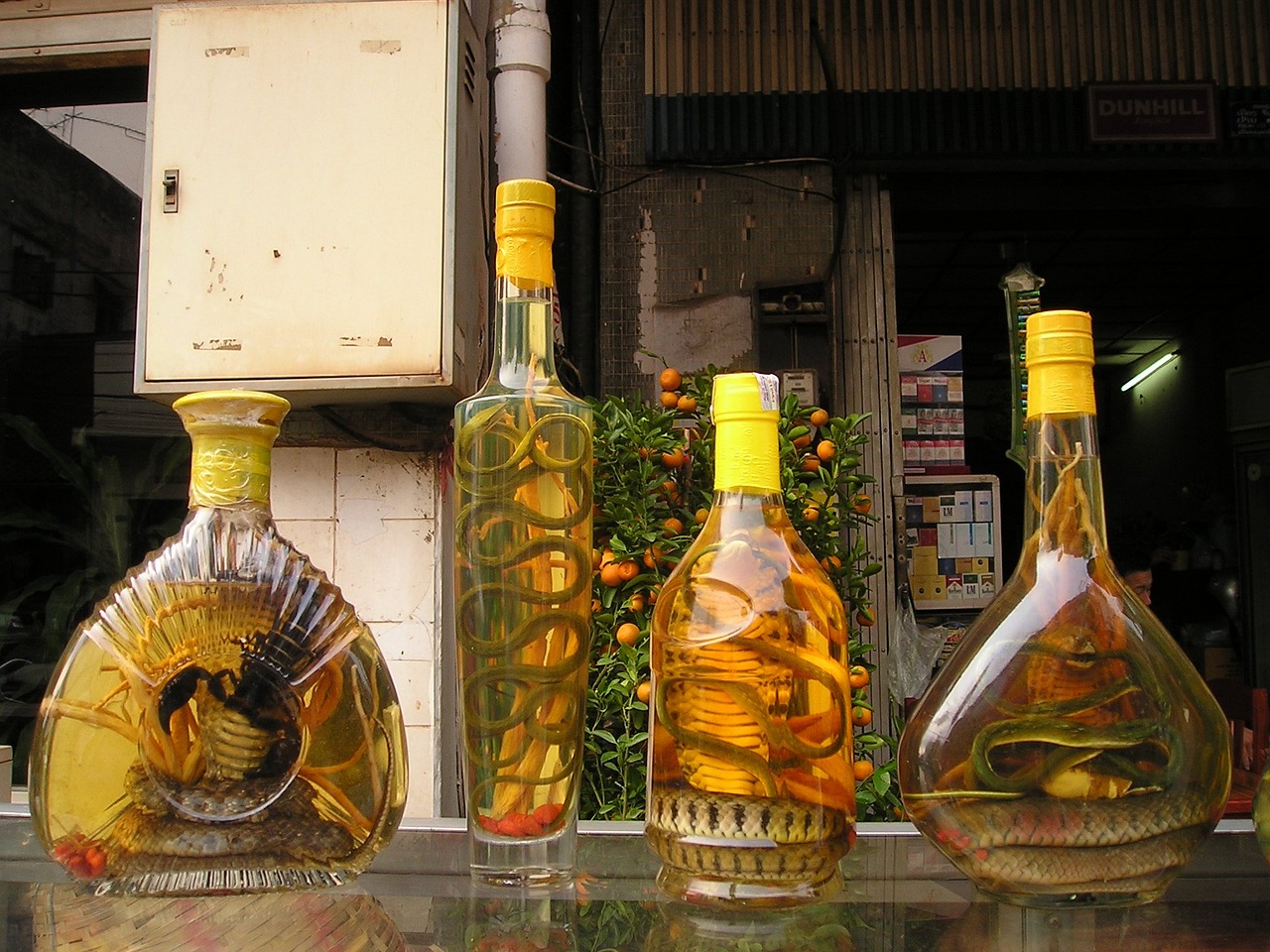 最新钟馗酒价格大全，全面解析最新钟馗酒价格