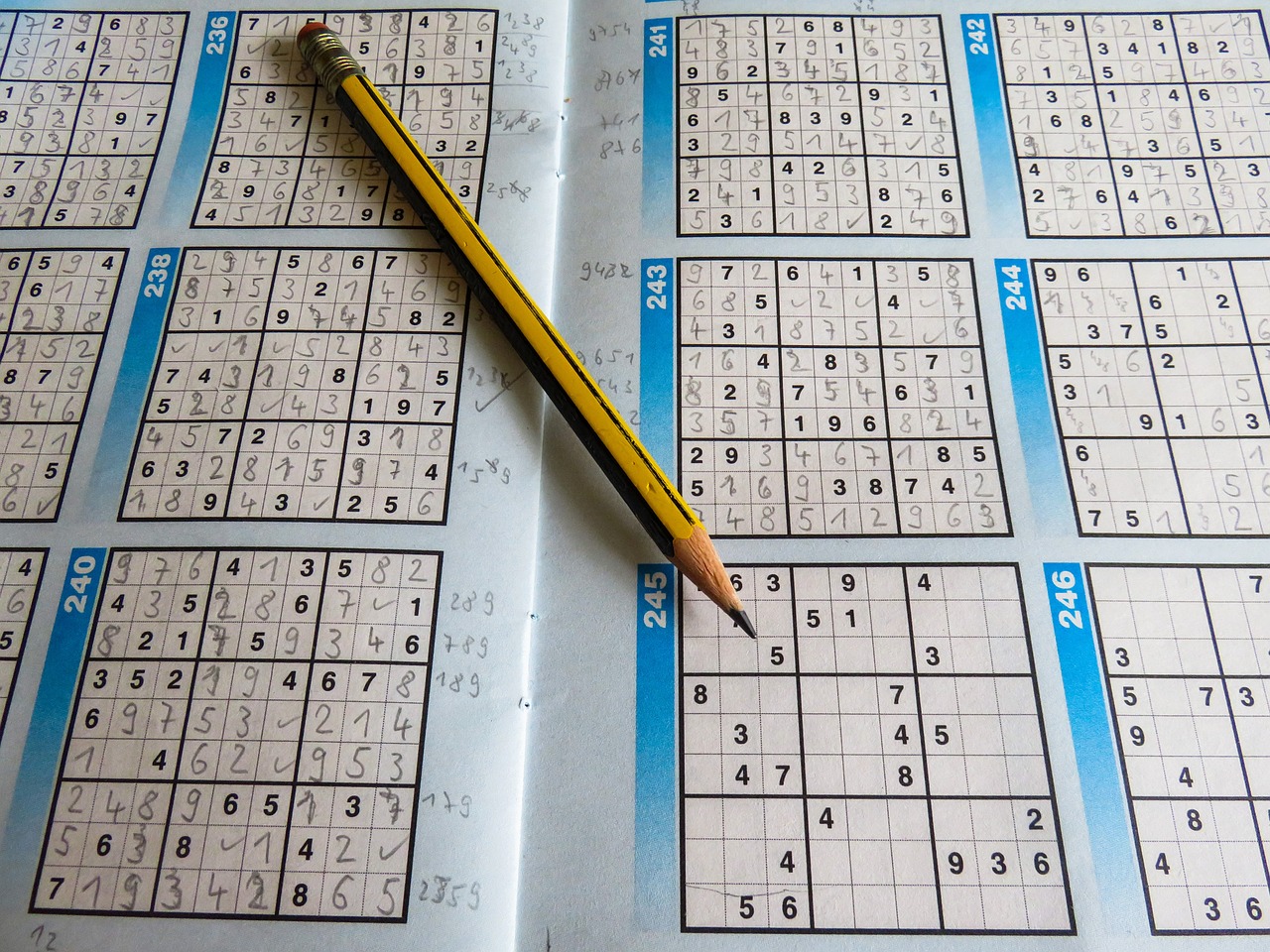 2024新澳天天开奖资料,优化执行策略，休闲专题IY915.8254
