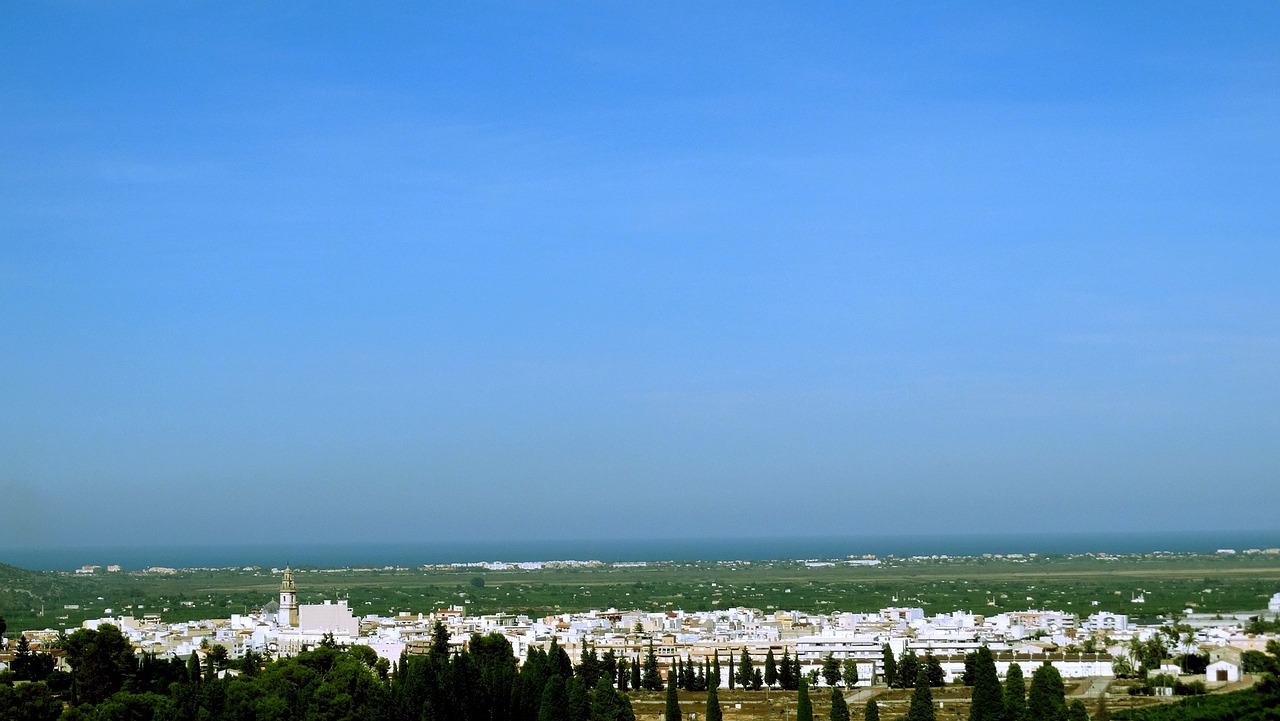 揭秘LPL转会市场，2017最新动态与深度解读