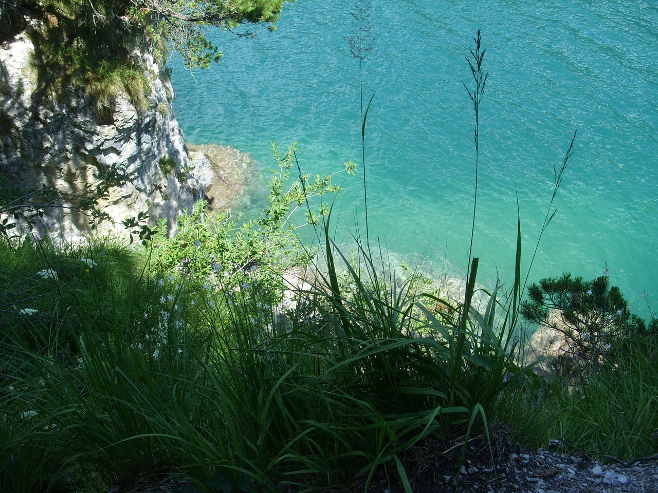 大亚湾牧马湖最新消息，发展动态、前景展望及最新进展速递