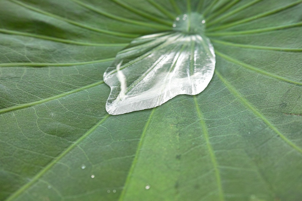 天津生态城最新动态，绿色发展前沿阵地新篇章