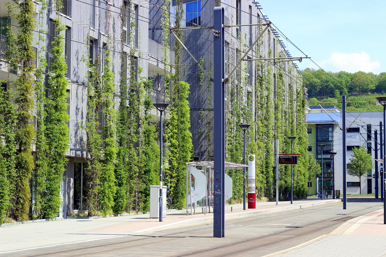 莱芜天泰绿城最新动态，城市绿色发展与生活构建同步前行