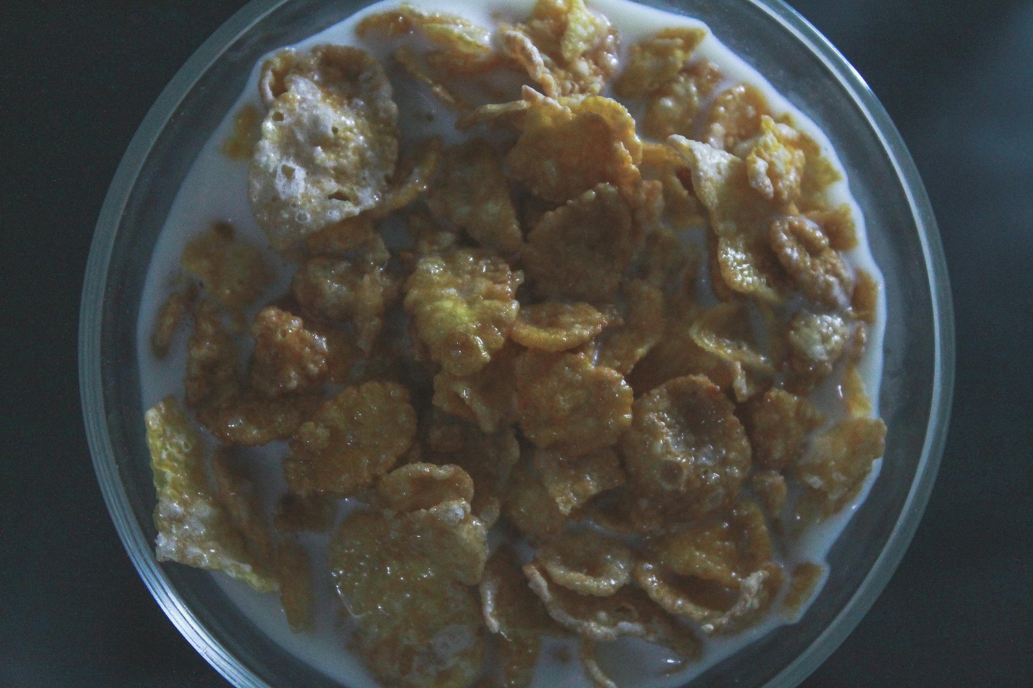 中国大厨最新特色菜肴，传统与创新交融的美食艺术