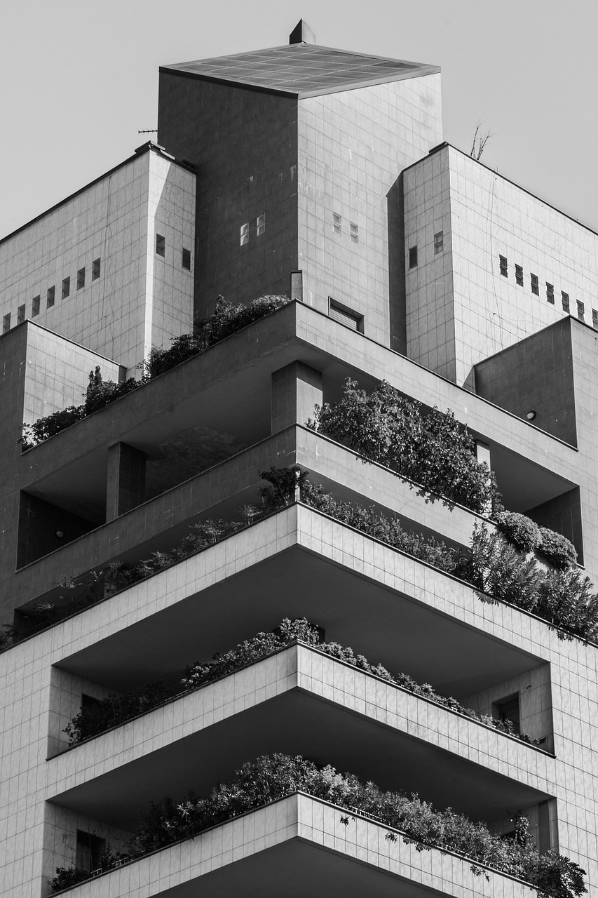 天台313省道最新动态，建设进展及未来展望