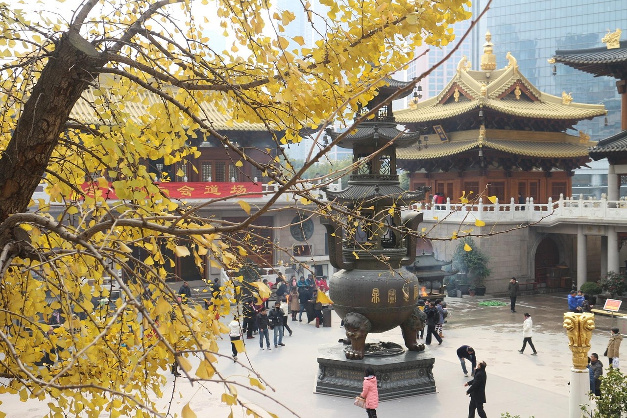 上海亚虹股票最新消息深度解析与动态关注