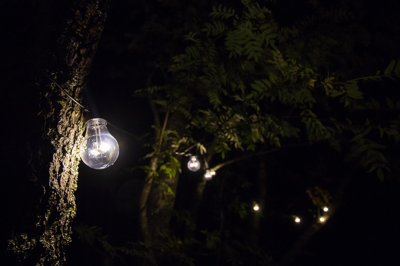 暗夜秘密与奇迹，慕夜城叶梧最新章节揭秘