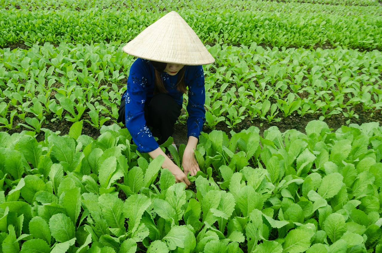 濮阳富士康最新发展动态及其影响分析