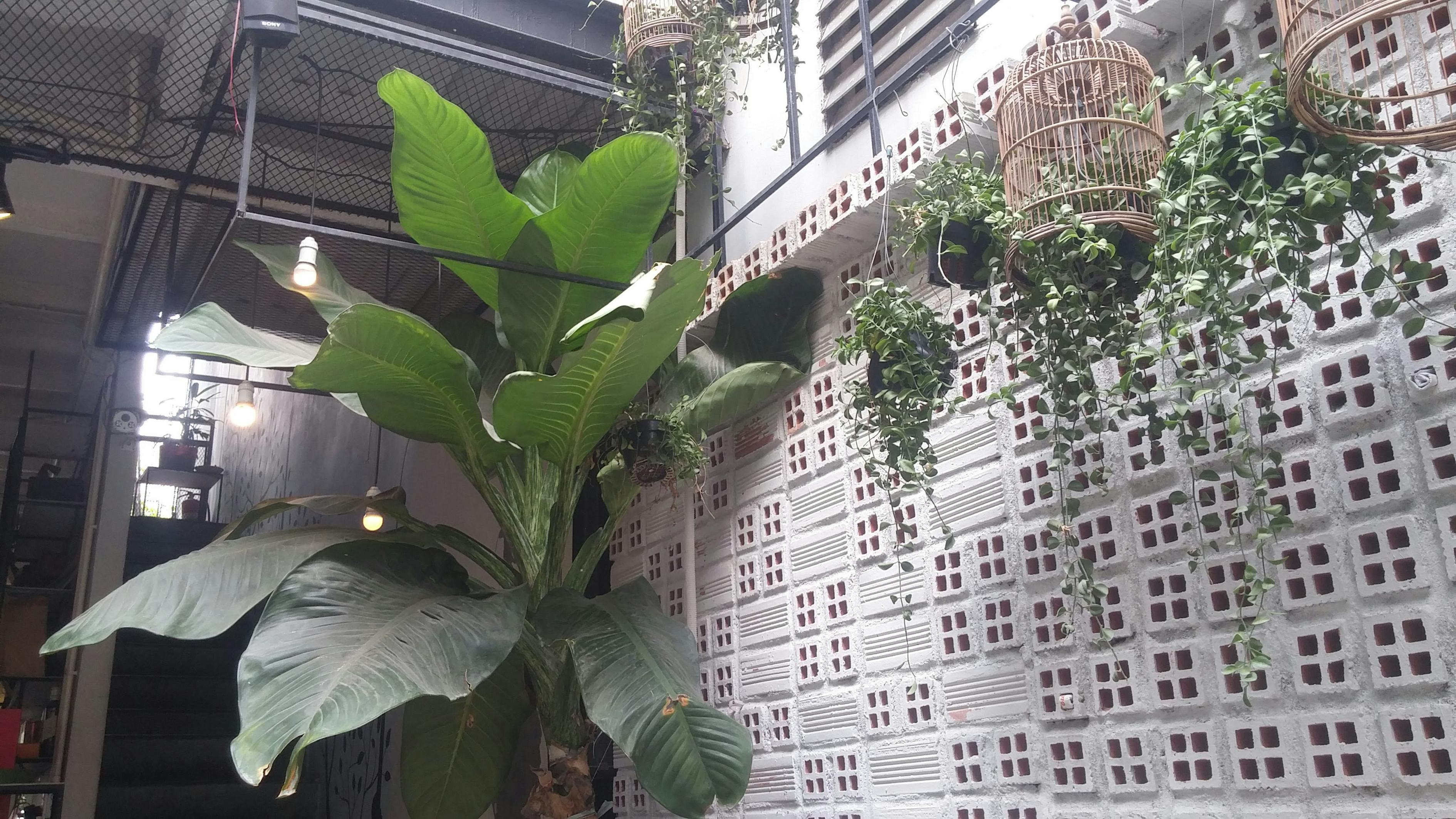 中节能健康城打造绿色生态居住新标杆，最新消息汇总